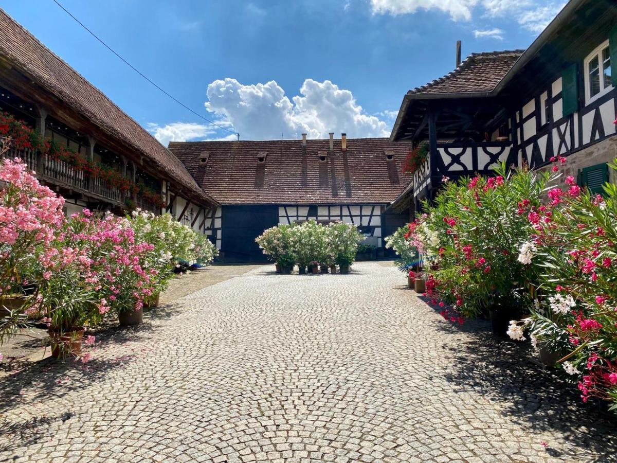 Chambres D'Hotes De Charme A La Ferme Freysz Quatzenheim Exterior foto