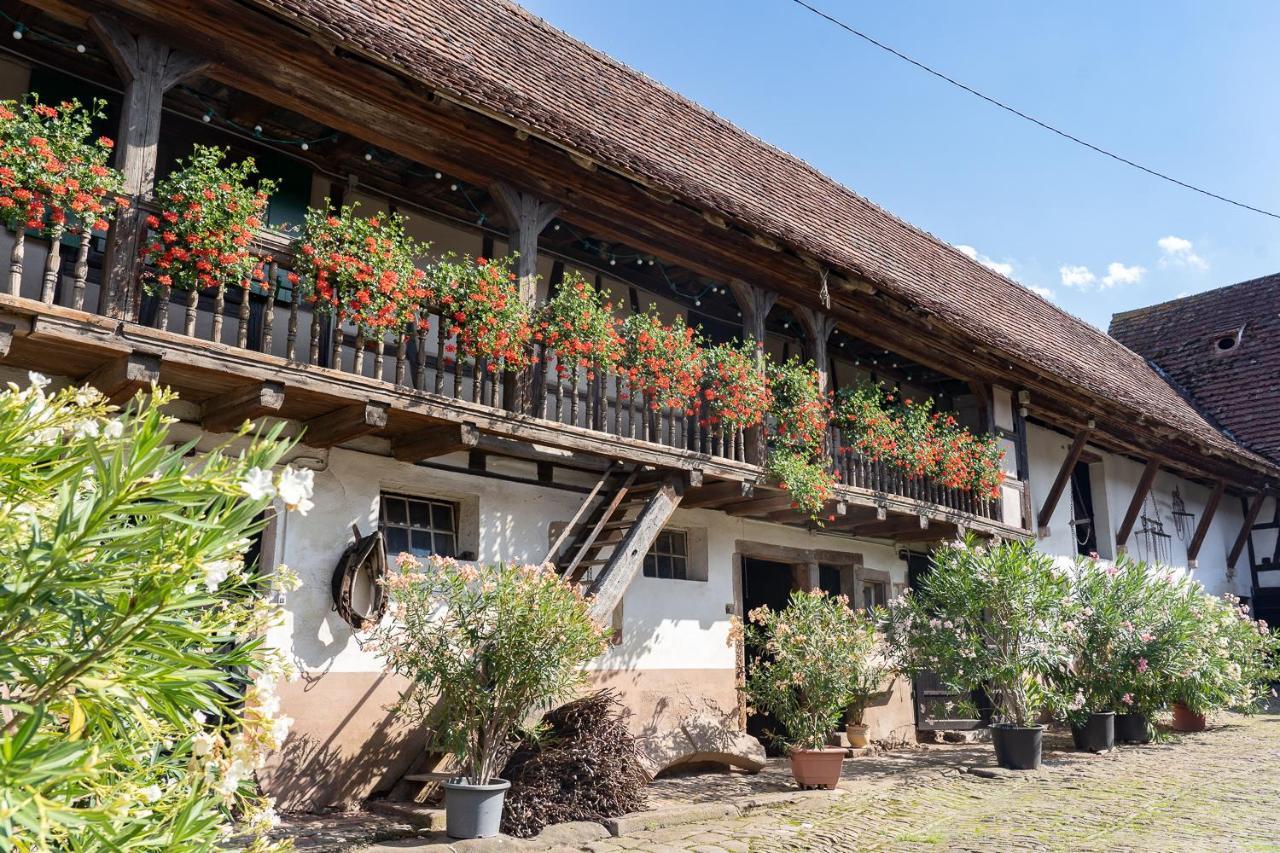 Chambres D'Hotes De Charme A La Ferme Freysz Quatzenheim Exterior foto