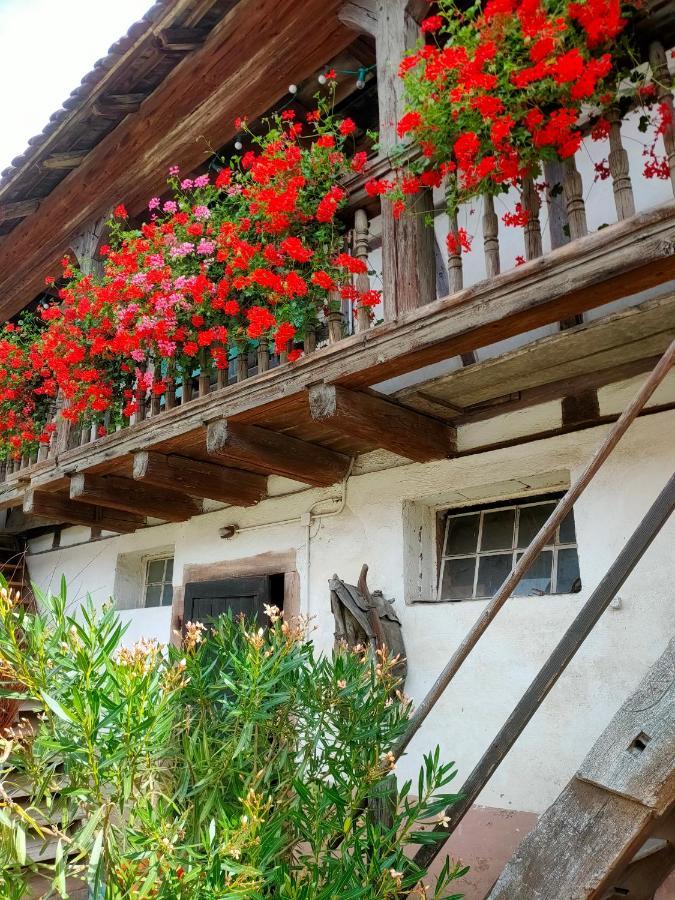 Chambres D'Hotes De Charme A La Ferme Freysz Quatzenheim Exterior foto