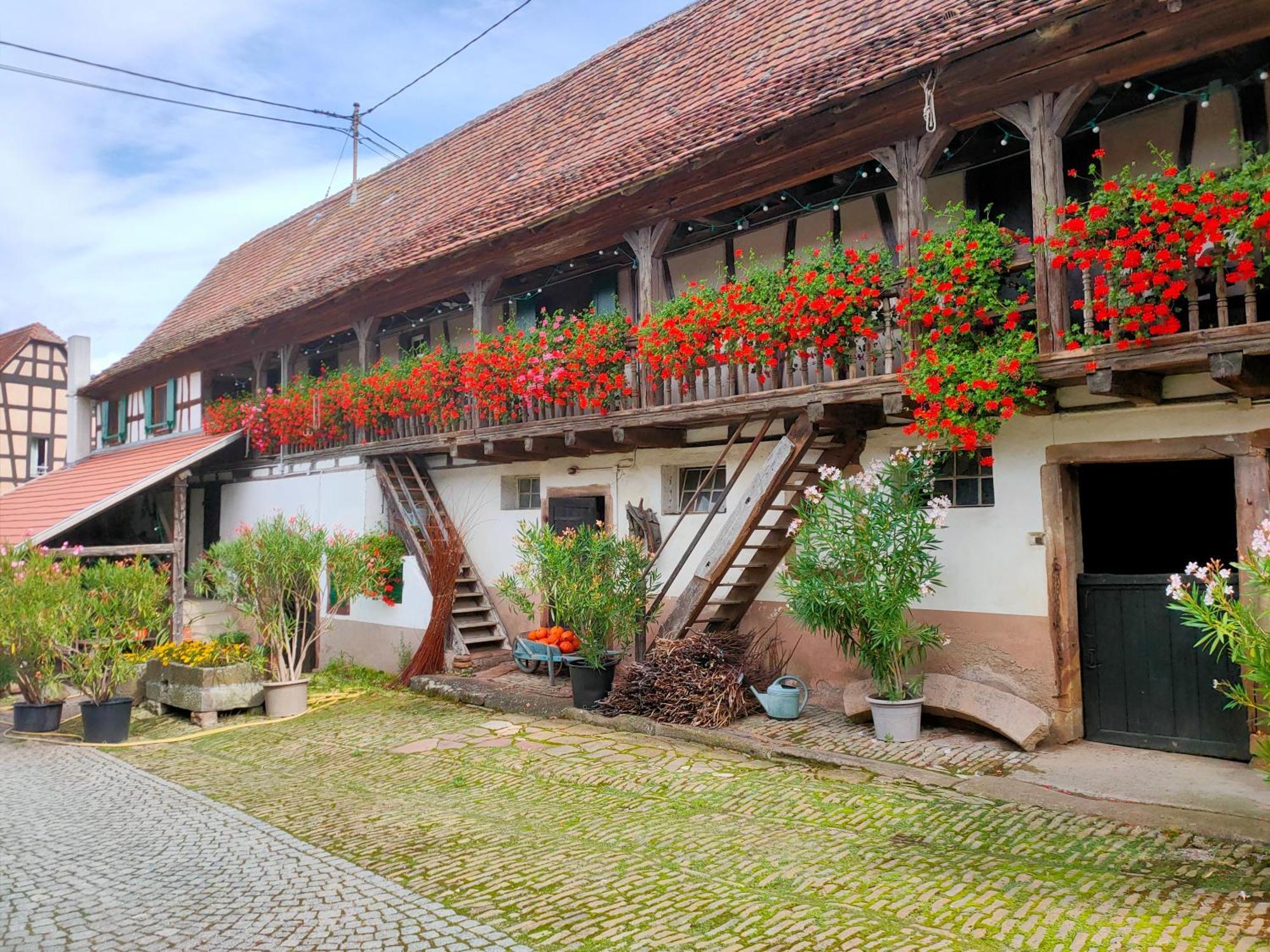 Chambres D'Hotes De Charme A La Ferme Freysz Quatzenheim Exterior foto